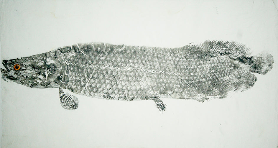 Gyotaku Fish Print 069 Arapaima (31 17.5 in.) –