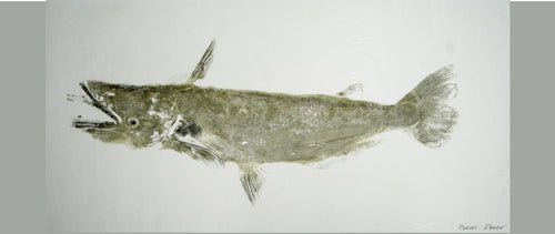 Gyotaku Fish Print 008 - Catfish (17.5 x 8.5 in.)