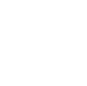 Project Selva
