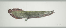 Load image into Gallery viewer, Gyotaku Fish Print 128 - Arapaima (70 x 26.5 in.)