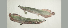 Load image into Gallery viewer, Gyotaku Fish Print 129 - Arapaima (80 x 39.5 in.)