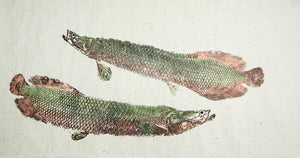 Gyotaku Fish Print 129 - Arapaima (80 x 39.5 in.)