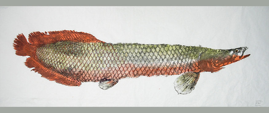 Gyotaku Fish Print 135 - Arapaima (102 x 28 in.)