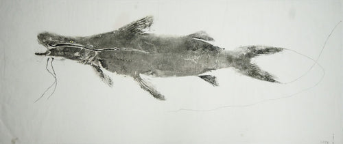 Gyotaku Fish Print 015 - Catfish (26 x 10 in.)