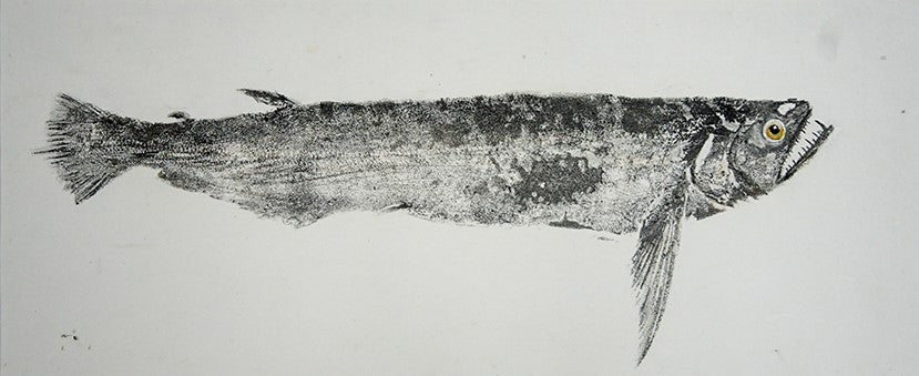 Gyotaku Fish Print 029 - Vampire Fish (21 x 10.5 in.)