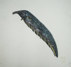 Gyotaku Fish Print 042 - Knifefish (17.5 x 15.5 in.)