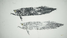 Load image into Gallery viewer, Gyotaku Fish Print 067 - Arowana (31 x 17.5 in.)