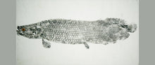Load image into Gallery viewer, Gyotaku Fish Print 069 - Arapaima (31 x 17.5 in.)