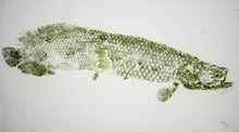 Load image into Gallery viewer, Gyotaku Fish Print 071 - Arapaima (31 x 17.5 in.)