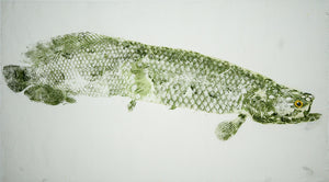 Gyotaku Fish Print 071 - Arapaima (31 x 17.5 in.)
